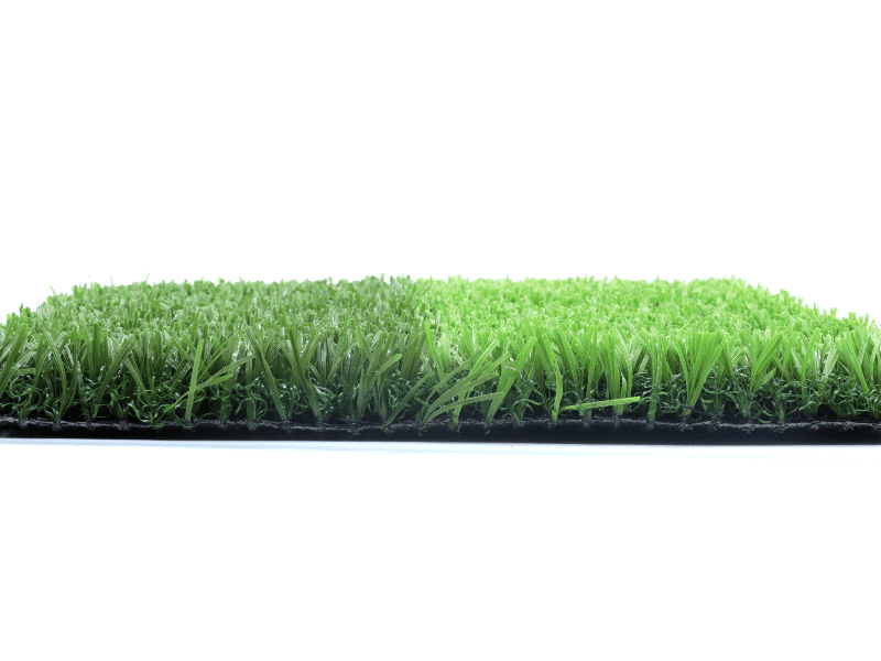 Frizzy Green PLUS11/44