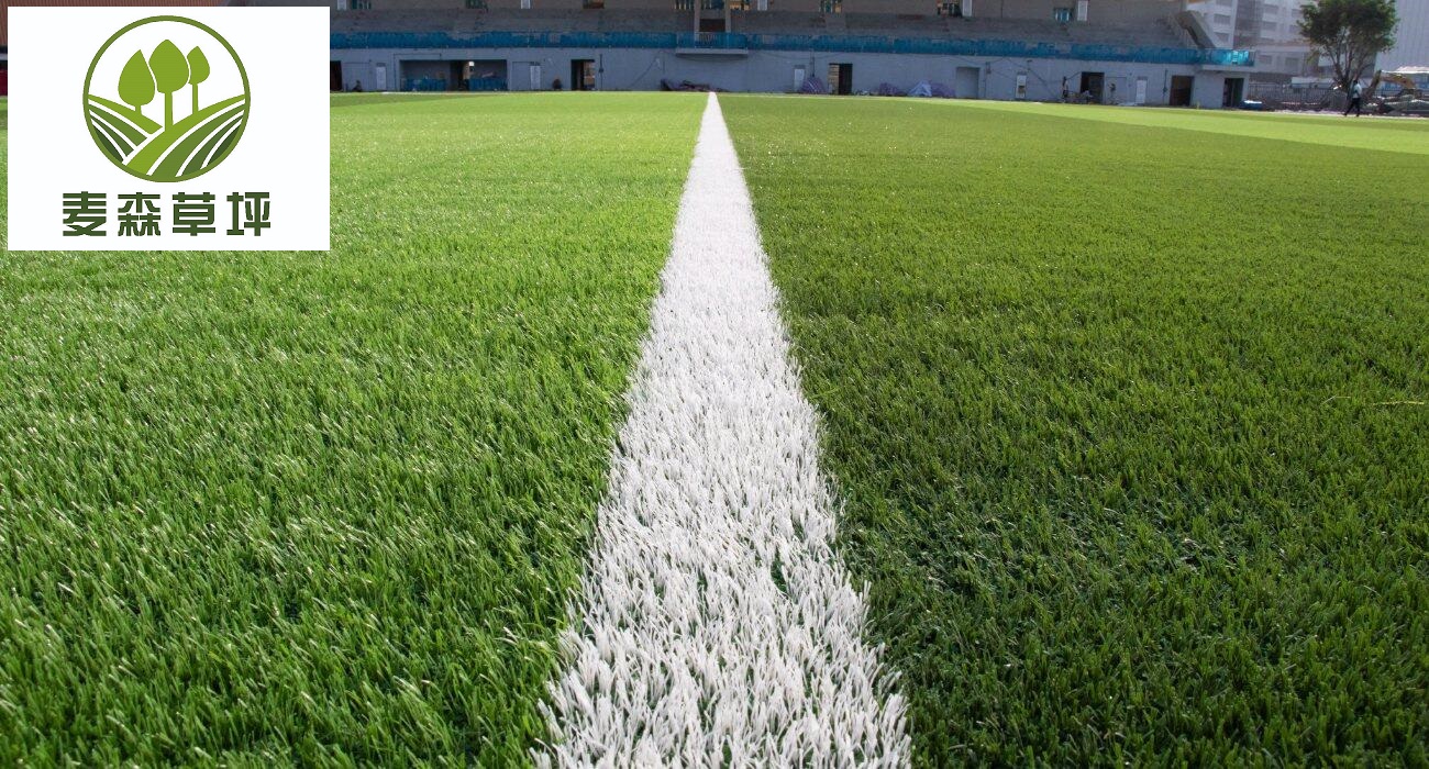 Hong Kong University of Science and Technology