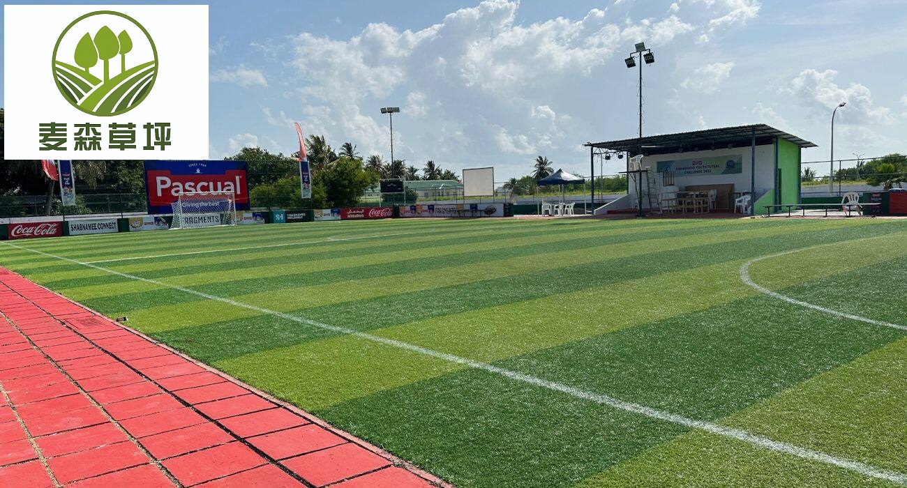 Maldives-L.Fonadhoo island-5-a-side futsal