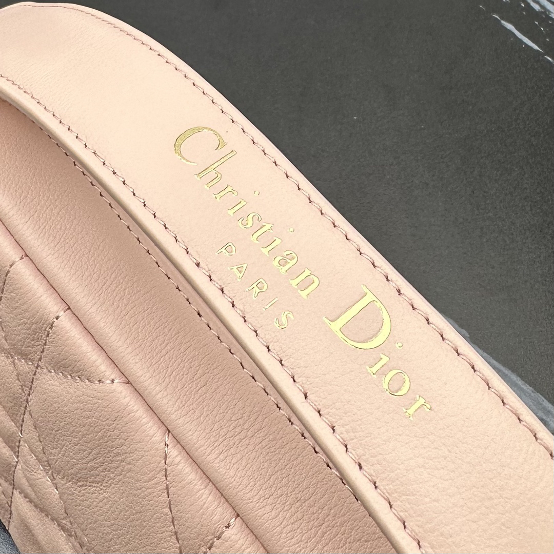 Dior-Caro Pearl Chain Camera Bag