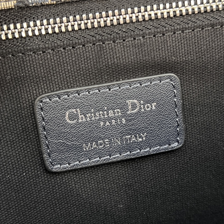 DlOR -30 Montaigne East West Handheld Shoulder Bag