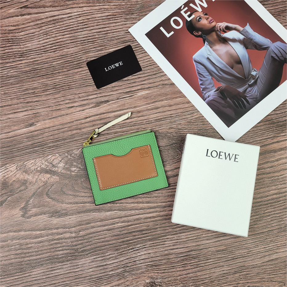 LOEWE-Zipper thin small card bag