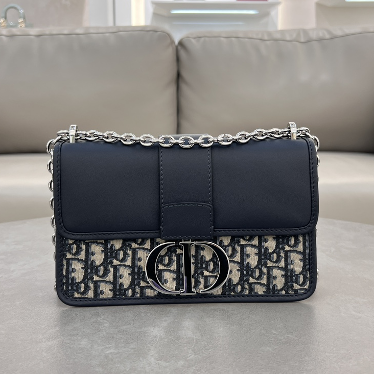 DlOR -30 Montaigne East West Handheld Shoulder Bag