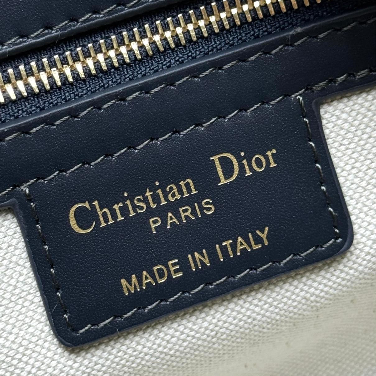 Dior-Groove 20 handbag with blue Oblique print