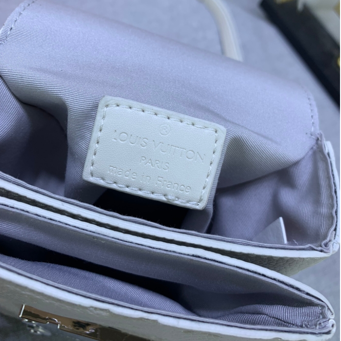 LV-Embossed Cowhide Camera Bag