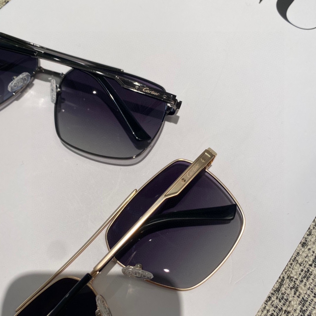 Cartier Men's Polarized Sunglasses