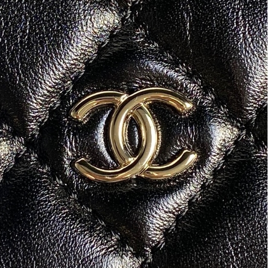 Chanel-Multi Functional Camera Bag