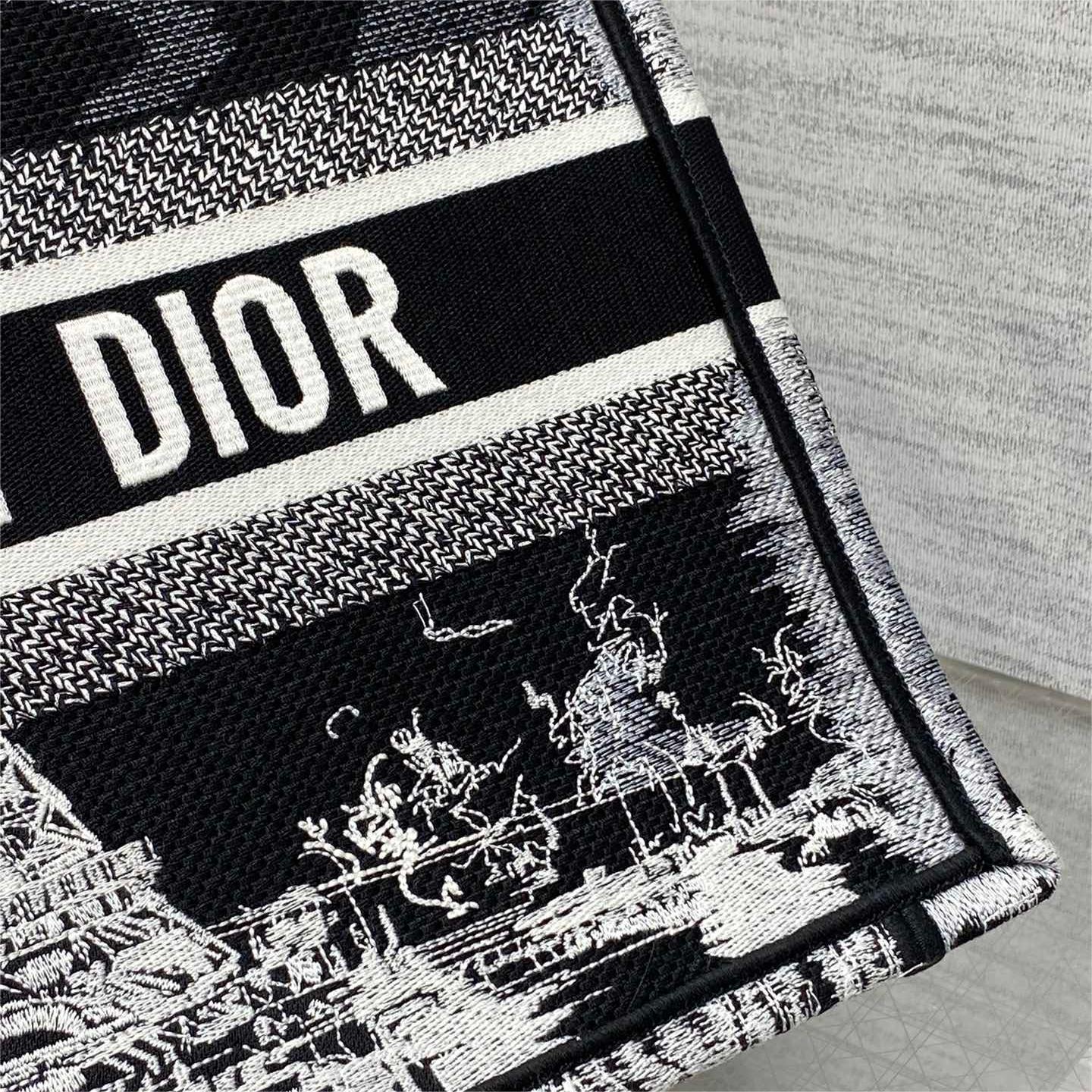 Dior-Paris Tower Series