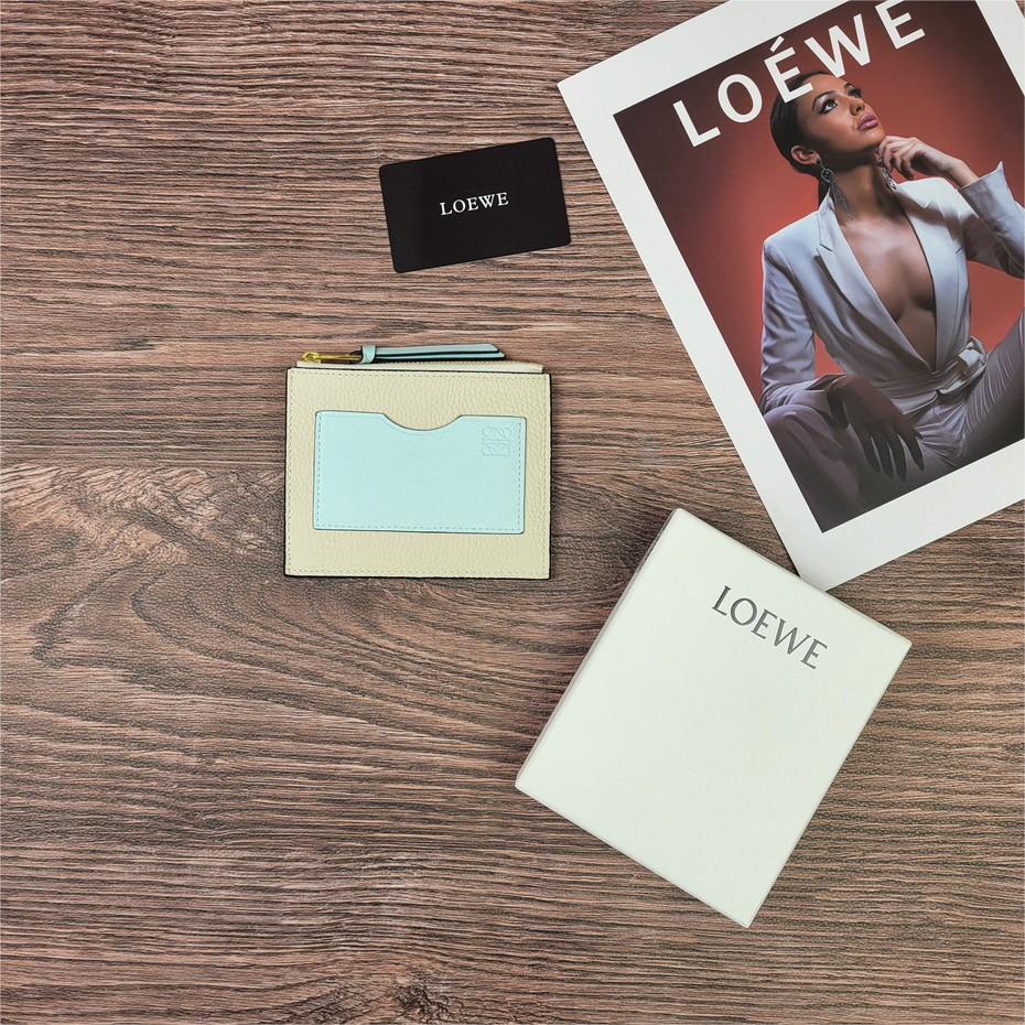 LOEWE-Zipper thin small card bag