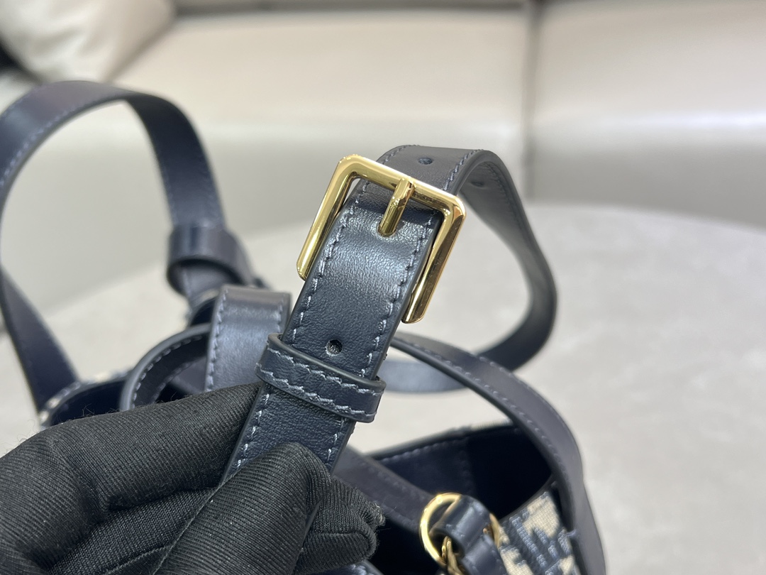 DIOR - Signature Bucket Cowhide Leather Bucket Shoulder Crossbody Hand Bag Small Black