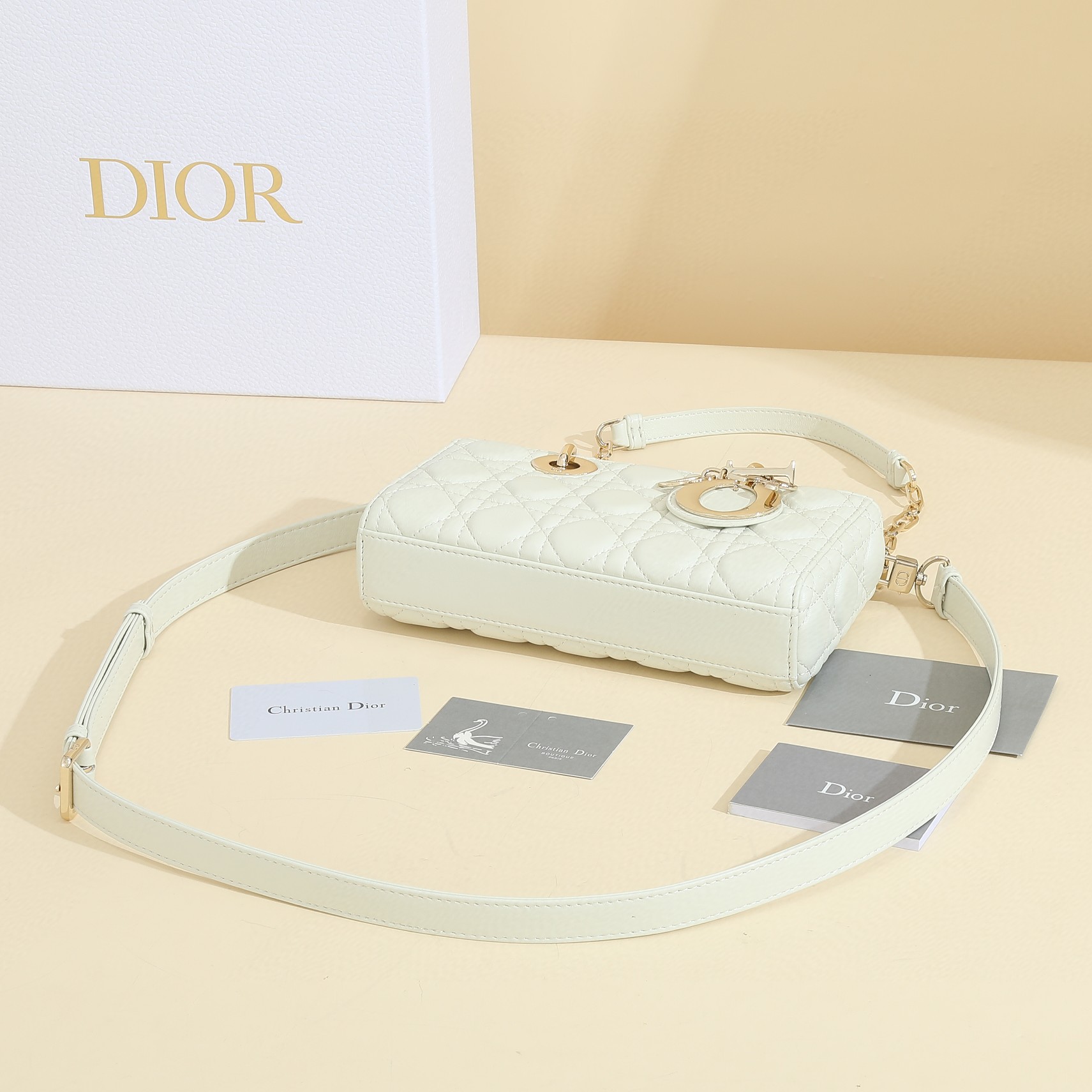Dior-lady dior