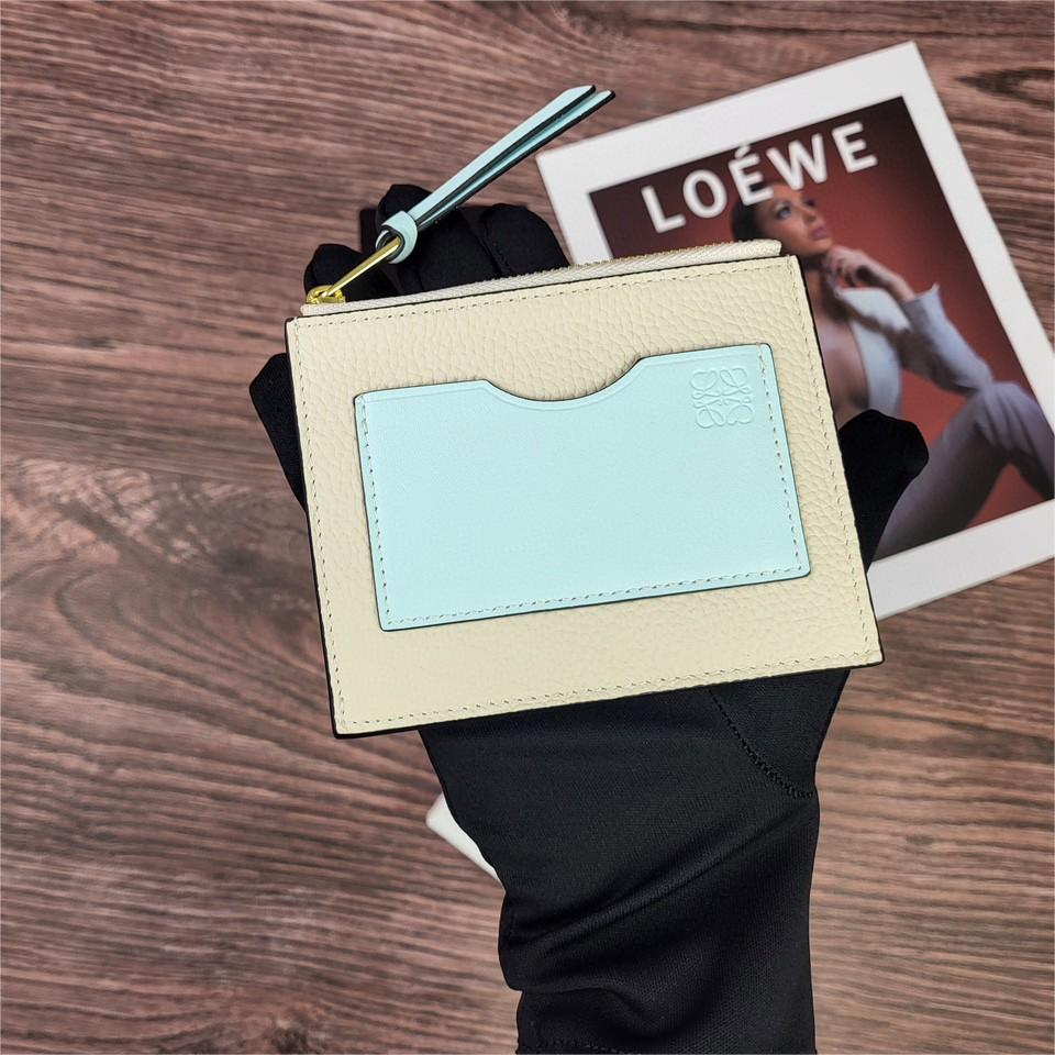 LOEWE-Zipper thin small card bag