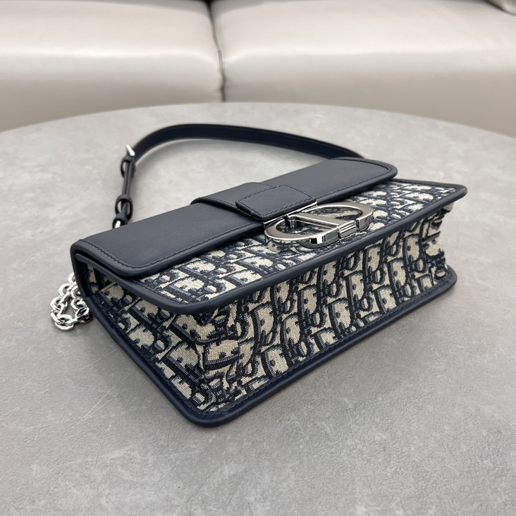 DlOR -30 Montaigne East West Handheld Shoulder Bag