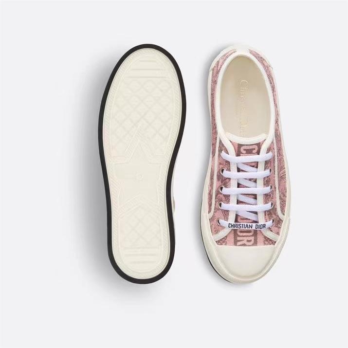 Dior-Walkn cistian paris