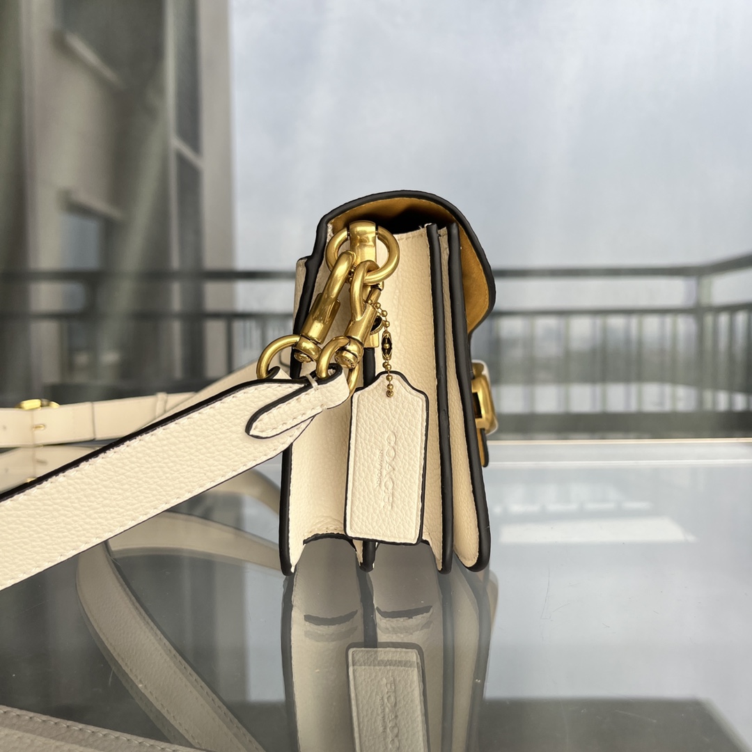 Coach-Tabby Full Leather Wine God Bag