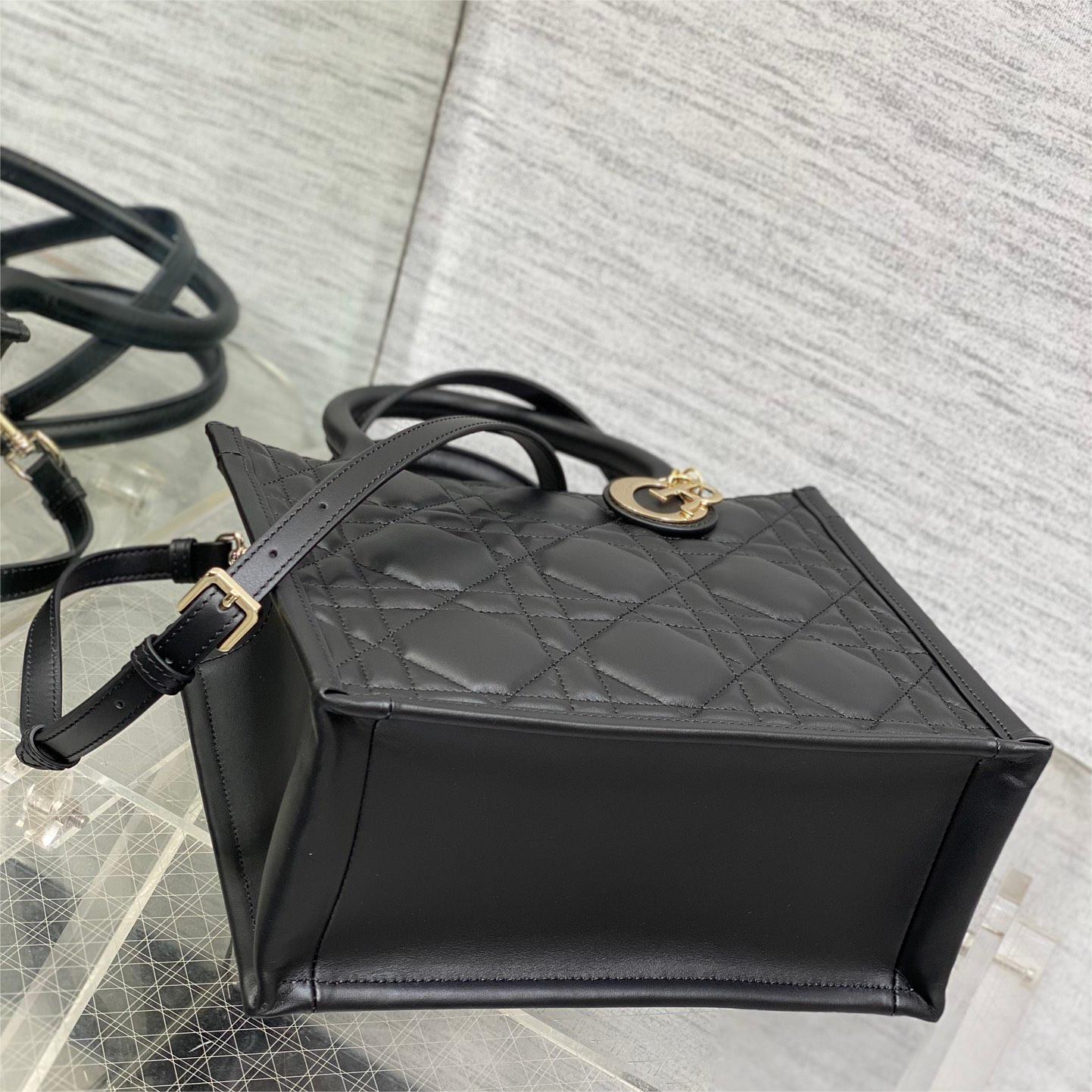Dior-Small Book Tote