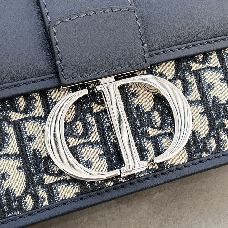 DlOR -30 Montaigne East West Handheld Shoulder Bag